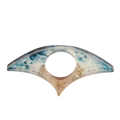 Bague de lecture arc de mer